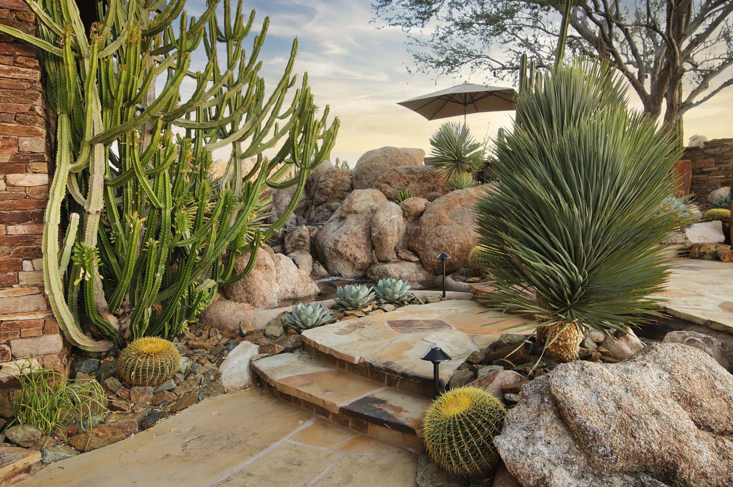 Flagstone steps between boulders, agave and a desert spoon